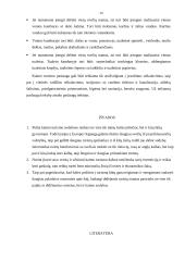 Kaimo turizmo esmė, politika bei plėtra 20 puslapis