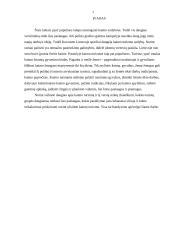 Kaimo turizmo esmė, politika bei plėtra 3 puslapis