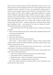 Kaimo turizmo esmė, politika bei plėtra 5 puslapis