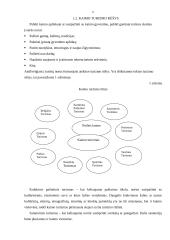 Kaimo turizmo esmė, politika bei plėtra 6 puslapis