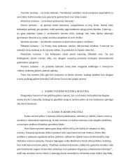 Kaimo turizmo esmė, politika bei plėtra 7 puslapis