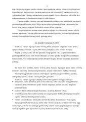 Kaimo turizmo esmė, politika bei plėtra 8 puslapis