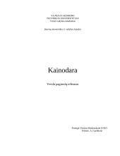 Kainodara ir kaina