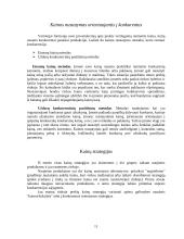 Kainodara ir kaina 11 puslapis