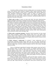 Kainodara ir kaina 12 puslapis