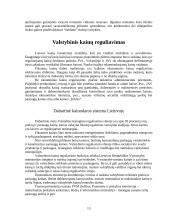 Kainodara ir kaina 13 puslapis