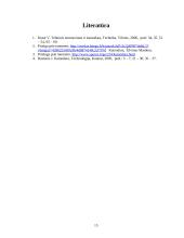 Kainodara ir kaina 15 puslapis