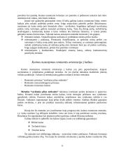 Kainodara ir kaina 9 puslapis