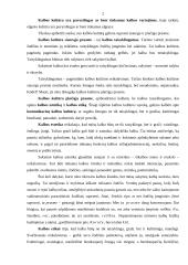 Kalbos klaidų priežastys 2 puslapis