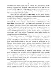 Kalbos klaidų priežastys 3 puslapis