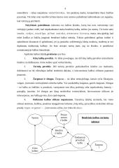 Kalbos klaidų priežastys 4 puslapis