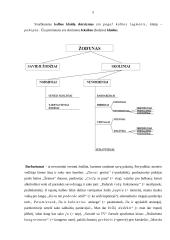 Kalbos klaidų priežastys 5 puslapis