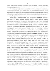 Kalbos klaidų priežastys 8 puslapis