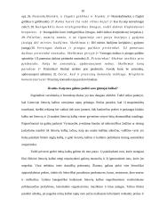 Kalbos klaidų priežastys 10 puslapis