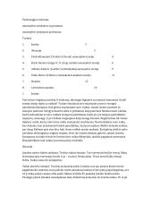 Asmenybės struktūros supratimas