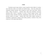 Etiketo bei kalbos kultūros problemos 2 puslapis