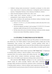 Kauno aplinkos ekologinės būklės įvertinimas 16 puslapis