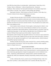 Kinijos geografija, gamta, stichija bei regionai 6 puslapis