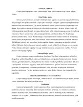 Kinijos geografija, gamta, stichija bei regionai 9 puslapis