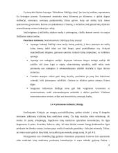 Bendri faktai apie Kiniją ir Kinijos turizmą 18 puslapis