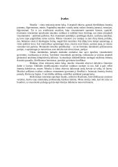 Klasicizmo epochos muzikos raida 11 puslapis