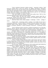 Klasicizmo epochos muzikos raida 4 puslapis