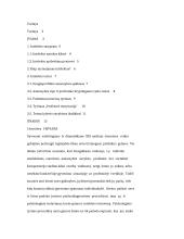 Intelektas, jo išmatavimas