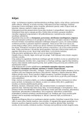 Klijai ir jų rūšys 2 puslapis