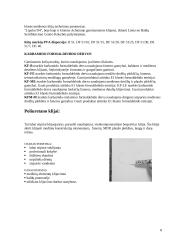 Klijai ir jų rūšys 7 puslapis