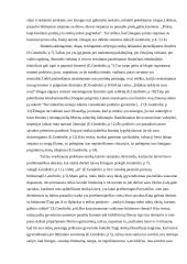 Kokia laimės samprata hedonizme, stoicizme ir ar ji sutampa su šiuolaikinėmis lietuvių vertybėmis? 4 puslapis