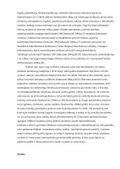 Kokia laimės samprata hedonizme, stoicizme ir ar ji sutampa su šiuolaikinėmis lietuvių vertybėmis? 6 puslapis