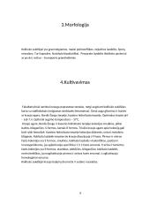 Kokliušo sukėlėjų daroma žala žmogaus organizmui 6 puslapis