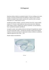 Kokliušo sukėlėjų daroma žala žmogaus organizmui 9 puslapis