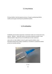 Kokliušo sukėlėjų daroma žala žmogaus organizmui 10 puslapis