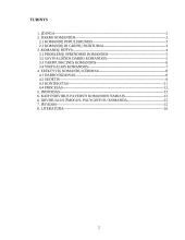 Komandinis ir individualus darbas 2 puslapis