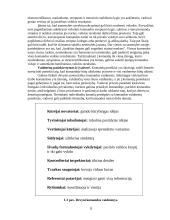 Komandinis ir individualus darbas 11 puslapis