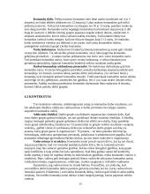 Komandinis ir individualus darbas 12 puslapis