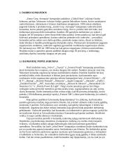 Komandinis ir individualus darbas 4 puslapis