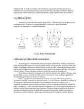 Komandinis ir individualus darbas 6 puslapis