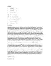 Kokius partnerius šiais laikais pasirenka jaunimas