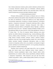 Korupcija viešajame sektoriuje 5 puslapis