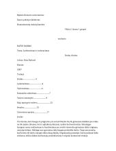 Lyderiavimas ir vadovavimas komandai