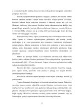 Krovinių vežimas geležinkelių transportu 11 puslapis