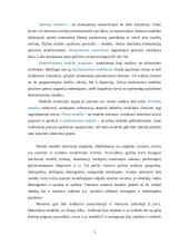 Kuo panašumų teorija tinka transporto inžinerijoje 3 puslapis