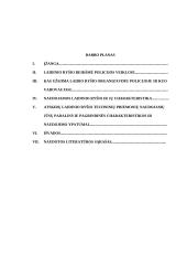 Laidinio ryšio organizavimas policijoje 2 puslapis