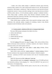 Laidinio ryšio organizavimas policijoje 6 puslapis