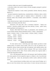 Laidinio ryšio organizavimas policijoje 7 puslapis