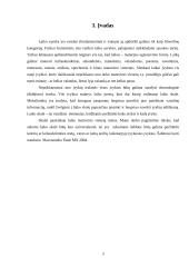 Laiko skalės šablono kūrimas 2 puslapis