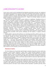 Ar laimė galima? 6 puslapis