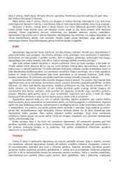 Ar laimė galima? 7 puslapis